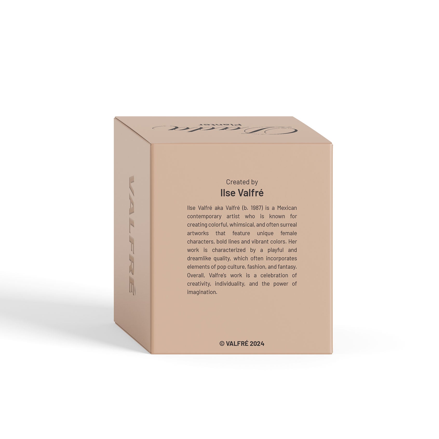 Dada Ceramic Planter